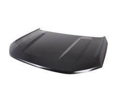 Ford Bronco Hood Aluminum 2021-2025 (M1Pz-16612-B) (New Version From May 25, 2021)