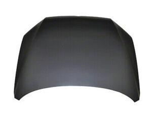 Volkswagen Passat Hood Stee 2012-2015 Capa