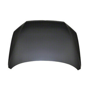 Volkswagen Passat Hood Stee 2012-2015 Capa