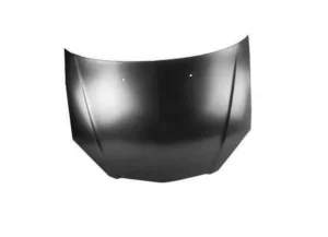 Acura RSX Hood 2002-2006