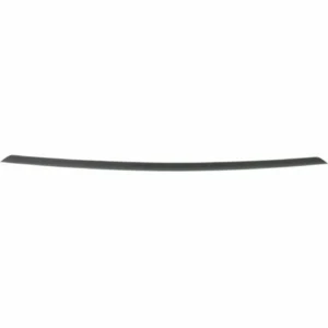 BMW 3 Series Sedan Bumper Molding Front Without Active Cruise Ctl Modem Line Primed 2012-2015