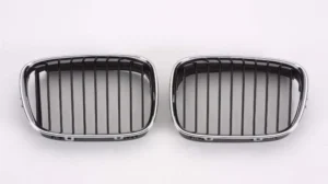 BMW 5 Series Grille Driver Side Chrome/black 1997-2003