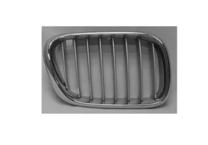 BMW X5 Grille Passenger Side Chrome/titan Color 2000-2003