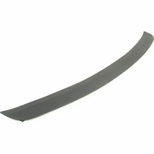 Dodge Ram 1500 Pickup Bumper Step Pad Front 2002