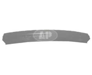 Lincoln TOWN CAR Rebar Front 2003-2011