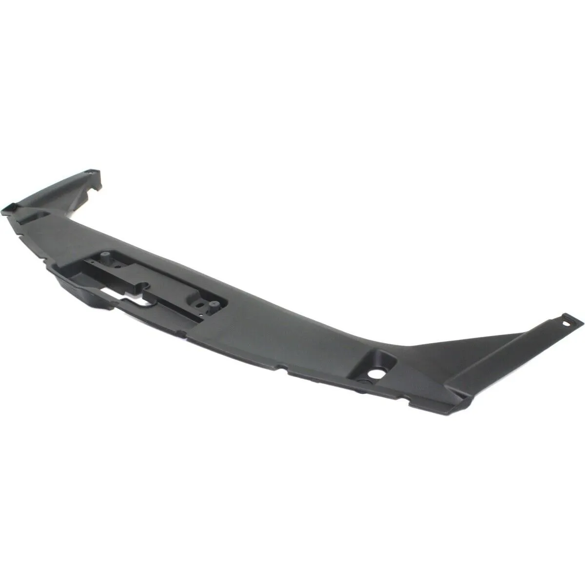 Honda Accord Coupe Grille Panel Molding (cover) 2008-2012