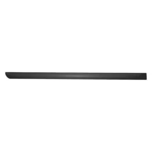 Honda Accord Sedan Door Molding Rear Passenger Side 2003-2007
