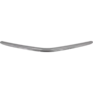 Toyota Prius Bumper Molding Front 2006-2009
