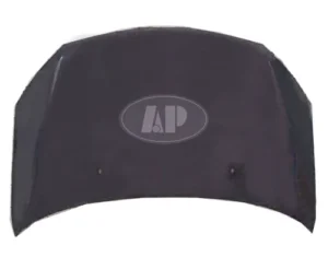 Toyota ECHO Hood Sdn/Coupe 2003-2005