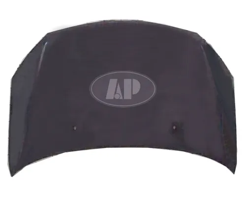 Toyota ECHO Hood Sdn/Coupe 2003-2005