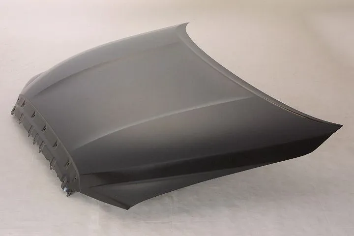 Toyota Sequoia Hood 2008-2022