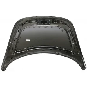 Volkswagen Beetle Hood CAPA Certified 1998-2010