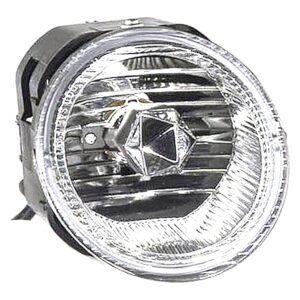 Nissan Frontier Pickup 2001-2002/Maxima 2000-2001/Xterra 2002 Fog Lamp Front Passenger Side