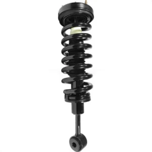 Ford F-150 Front Strut and Coil Spring Assembly 2004-2008 78A-11204