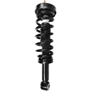 Ford F-150 Front Strut and Coil Spring Assembly 2009-2013 78A-11304