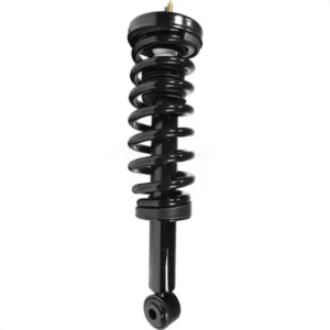 Ford F-150 Front Strut and Coil Spring Assembly 2009-2013 78A-11306