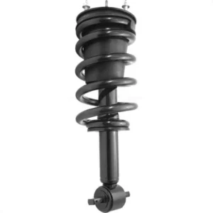 Chevrolet Silverado 1500, Silverado 1500 LD Front Strut and Coil Spring Assembly 78A-11660