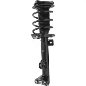 Mercedes-Benz E350, E400 Front Strut and Coil Spring Assembly 78A-11750