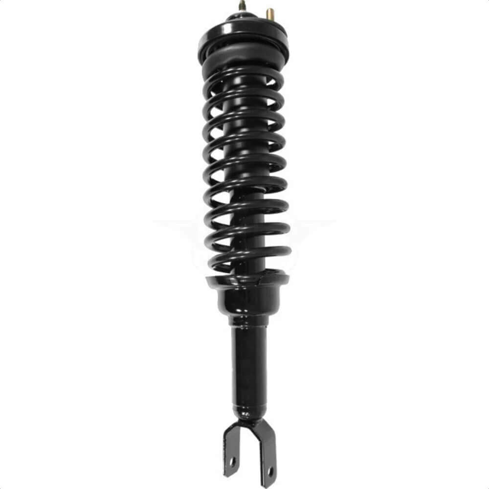 Honda Civic Rear Strut and Coil Spring Assembly 1996-2000 78A-15220