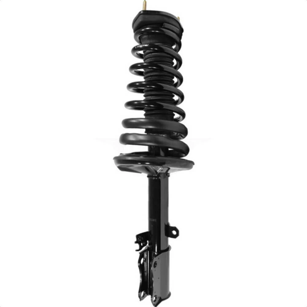 Lexus ES300 Rear Left Strut and Coil Spring Assembly 2002-2003 78A-15341